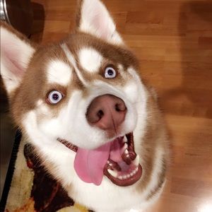 Meet your Posher, Diamond